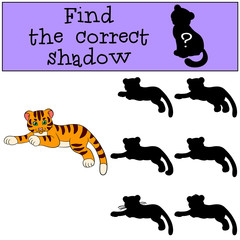 Children games: Find the correct shadow. Cute little baby tiger