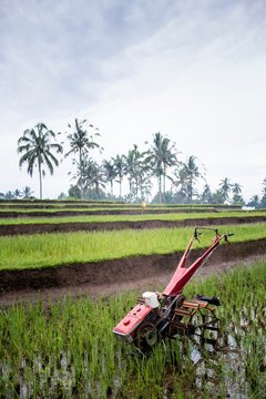 Cultivator used for ploughing paddy fields near Ubud, Bali, Indonesia