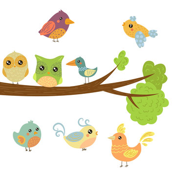 Different Cute Bird Chicks Sitting And Flying Around Tree Branch