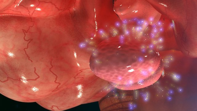 Pituitary gland