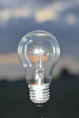 Bulb