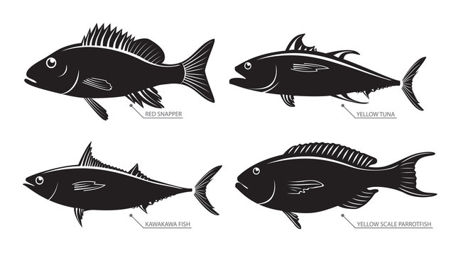 Silhouette of sea and river fish for stamps and labels