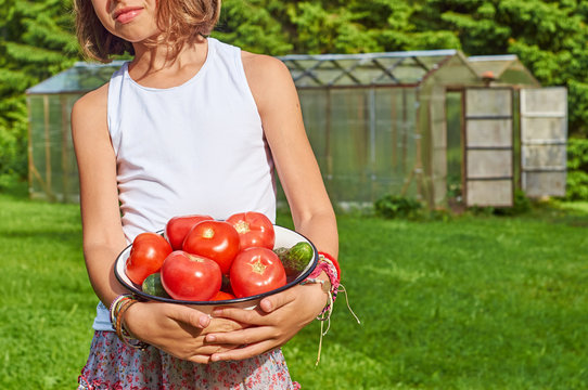 Schoolgirl with a bowl full of tomatoes and cucumbers in front of country greenhouse  
