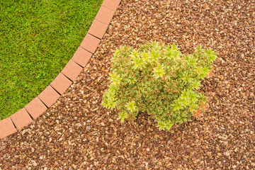 Moderner Steingarten mit Zierstrauch und Ziersplittt in Vogelperspektive - Modern rock garden with...
