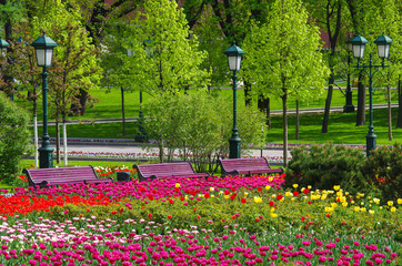 MOSCOW, RUSSIA - May, 2016: Alexander Garden and Moscow kremlin