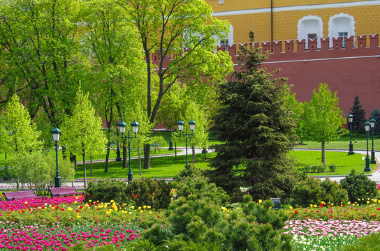 MOSCOW, RUSSIA - May, 2016: Alexander Garden and Moscow kremlin