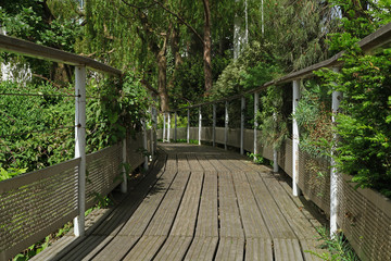 Passerelle espace vert