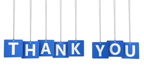 Thank You Sign Blue Paper Tags - 114226928