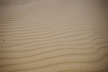 Photo of  textures of sand in the desert in southern Israel