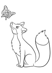 Coloring pages. Wild animals. Little cute fox looks at the butterfly