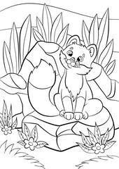 Coloring pages. Wild animals. Little cute baby fox
