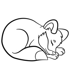Coloring pages. Wild animals. Little cute fox sleeps.
