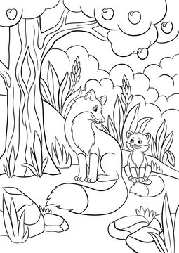 Coloring pages. Wild animals. Mother fox with her little cute baby