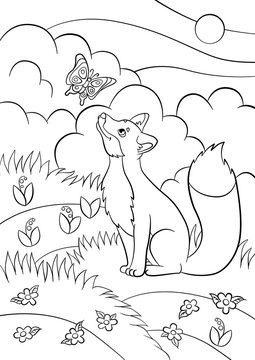 Coloring Pages. Wild Animals. Little Cute Fox Looks At The Butterfly