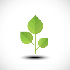 Leaf icon. Vector illustration