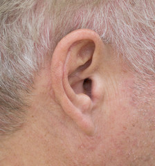 Naklejka premium man ear