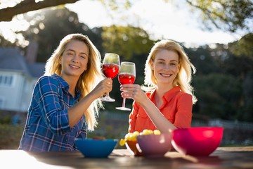 Beautiful women toasting a glasses of red wine