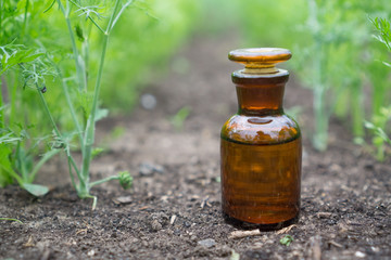 Liquid in chemical ware on a background of plants, fertilizers or pesticides in the garden.