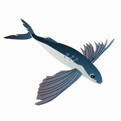Flying fish in cartoon style on white background