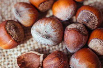 Stack of hazelnuts. Hazelnut background macro. Hazelnuts