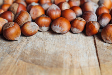 Hazelnuts on rustic background