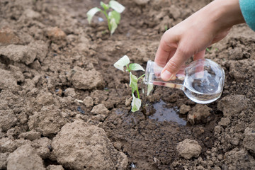 Hand with a test tube and plant. Fertilizer in laboratory glassware.