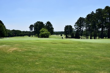 Golf course landscape