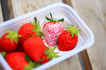 Fresh Strawberry in farm