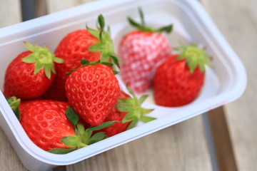 Fresh Strawberry in farm