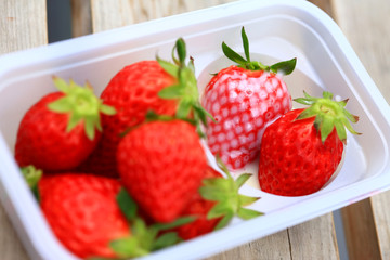 Fresh Strawberry in farm