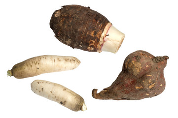 Reddish, Sweet Potato and Taro Root Isolated