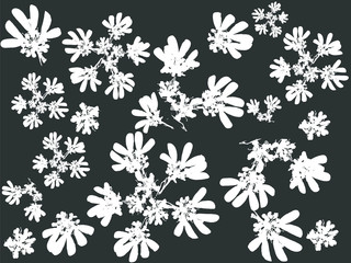 Textile printing white wild flower on a black background


