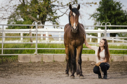 Young woman with brown horse in round pen