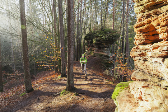 Germany, Rhineland-Palatinate, hiker reading map at Dahn Rockland on winter day
