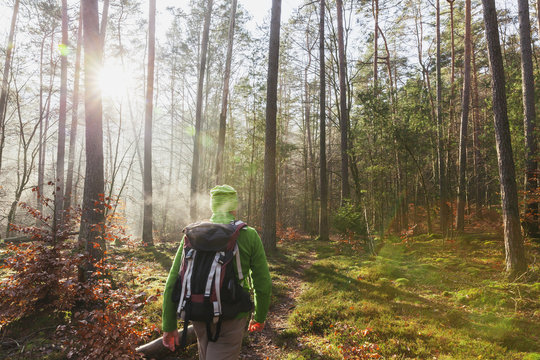 Germany, Rhineland-Palatinate, back view of hiker with backpack at Dahn Rockland on winter day