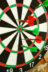 The arrow hit the center of the target