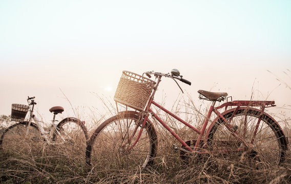 beautiful landscape image with two bicycle at sunset ; vintage f © Looker_Studio