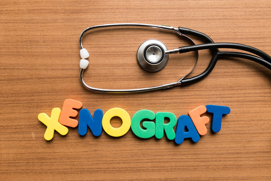 xenograft colorful word with stethoscope