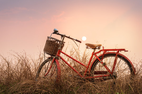beautiful landscape image with vintage bicycle at sunset