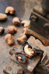 Peel Cashew Shell