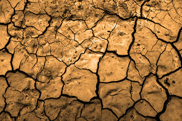 Drought Dried Dirt