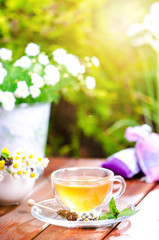 Cup of tea on a wooden backgound. Flowers and grass. Natural background. Agricultural.Garden