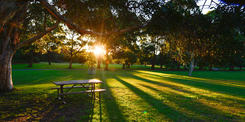Naklejka premium Beautiful park in Sydney.