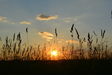 Obraz premium Летний закат