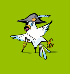 pirate parrot cartoon vector illustration