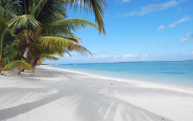 Beautiful white sandy beach with palm trees at the ocean