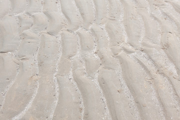 sand beach for background and texture.