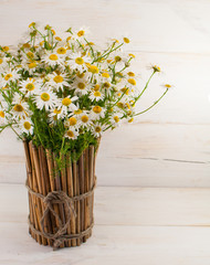 Daisies in a bamboo vase 