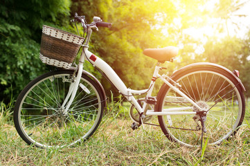 white bicycle in green garden