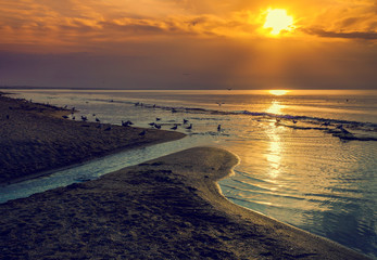 Early morning, sunrise over beach. River delta on the sea shore